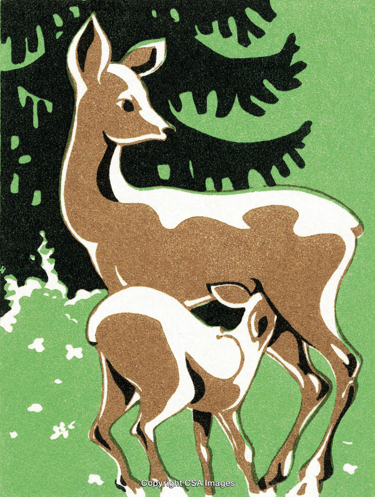 Illustration of a Deer and Fawn in a Forest Setting
