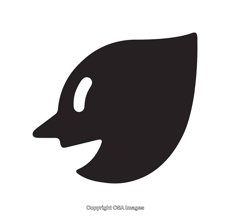 Black and White Silhouette of a Stylized Bird Illustration