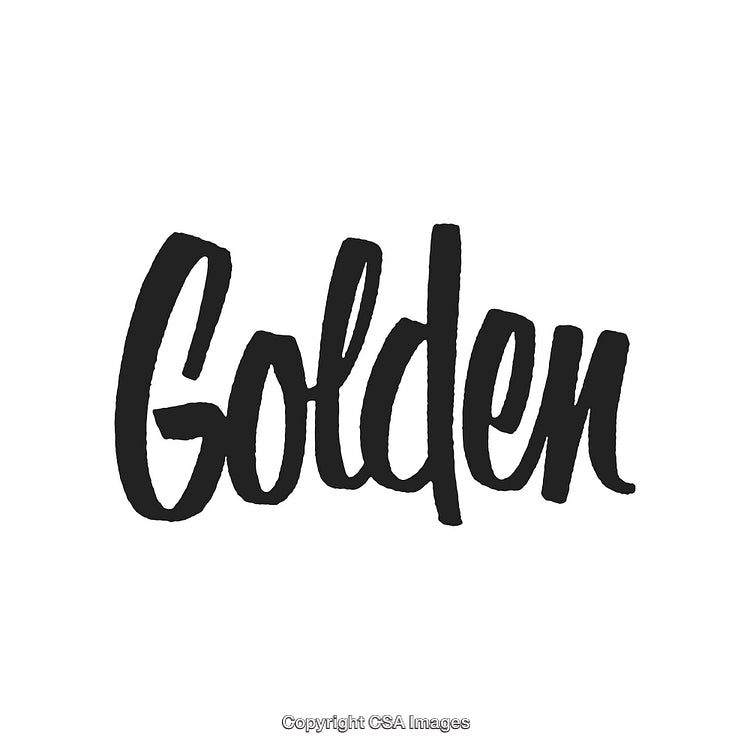 Creative Black Calligraphy Text Featuring the Word 'Golden' on White Background