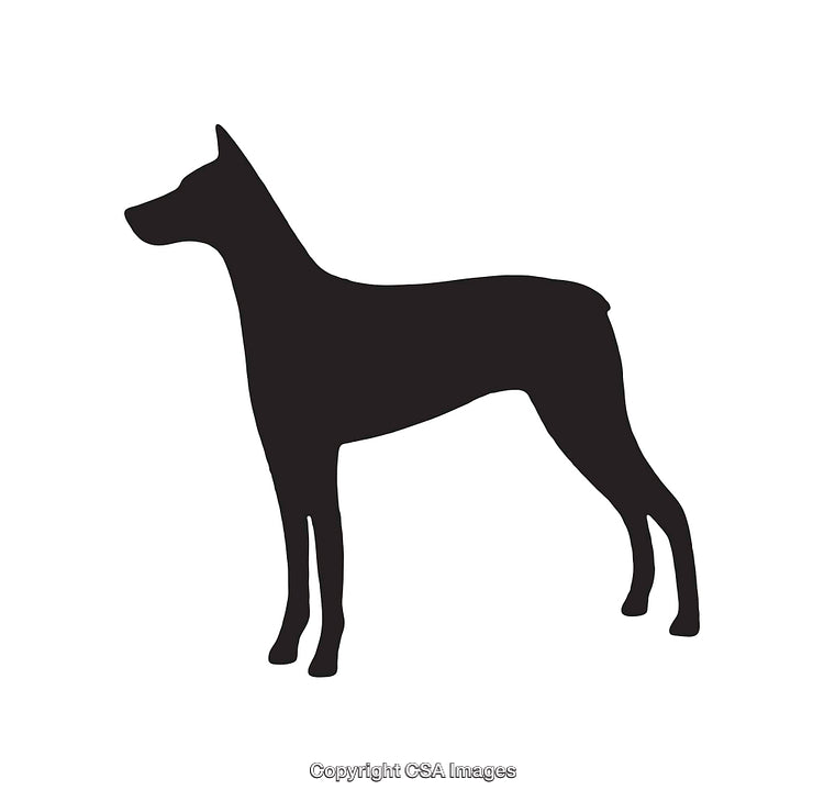 Silhouette of a Standing Dog in Side View for Pet Illustration
