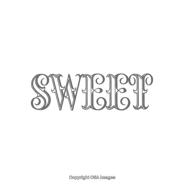Elegant Decorative Word Art Featuring Vintage Ornate Typography Design
