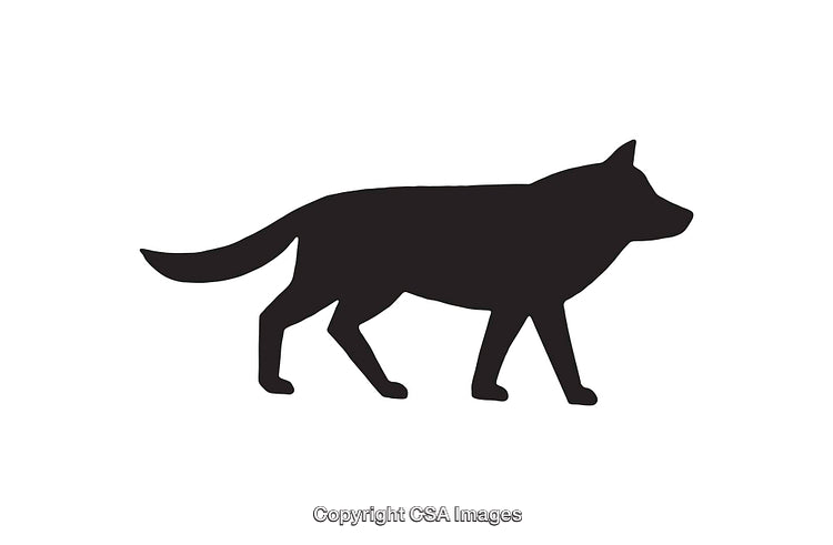 Silhouette Illustration of a Walking Wolf in Black on White Background