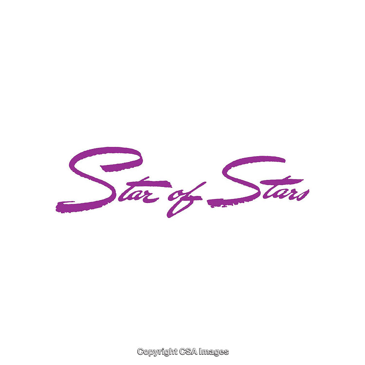 Purple Star Of Stars Lettering Text on White Background