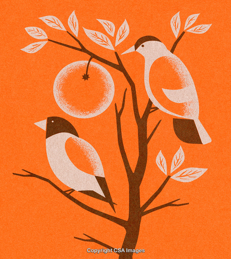 Illustrated Birds Perched on Tree Branches Against Orange Background