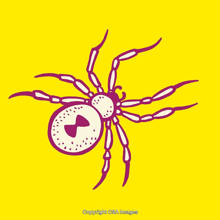 Bright Yellow Background Illustrating Spider in Stylized Line Art Design