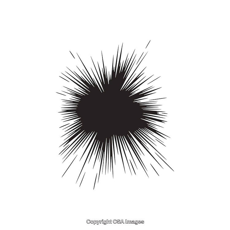 Abstract Black Starburst Design on a White Background