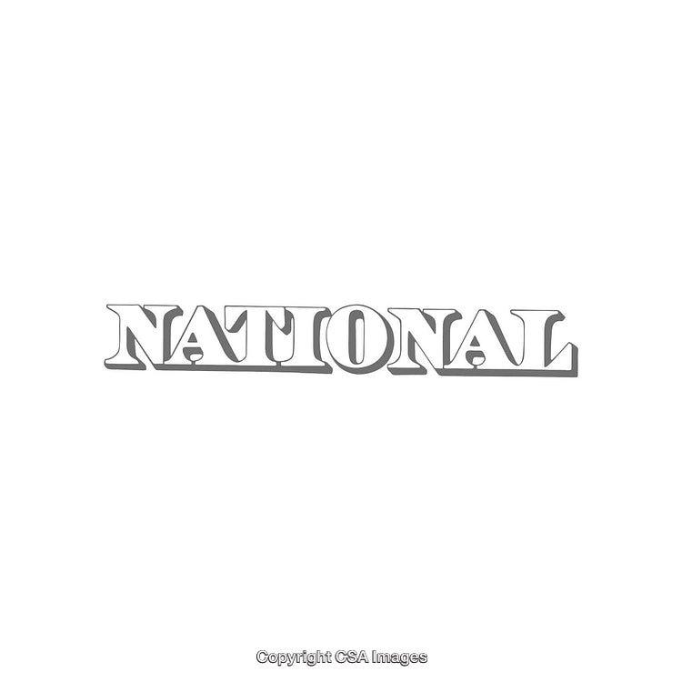 Gray Artistic National Typography in Bold Serif Font Style