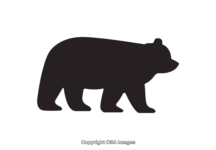 Black Silhouette of a Bear Icon on a White Background