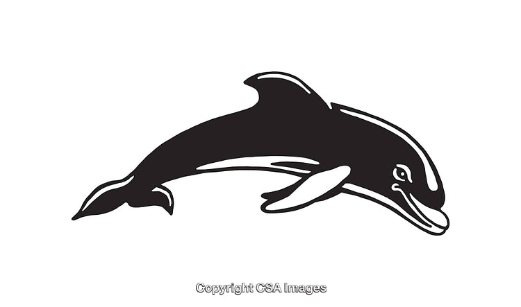 Elegant Black And White Line Art Illustration of a Dolphin