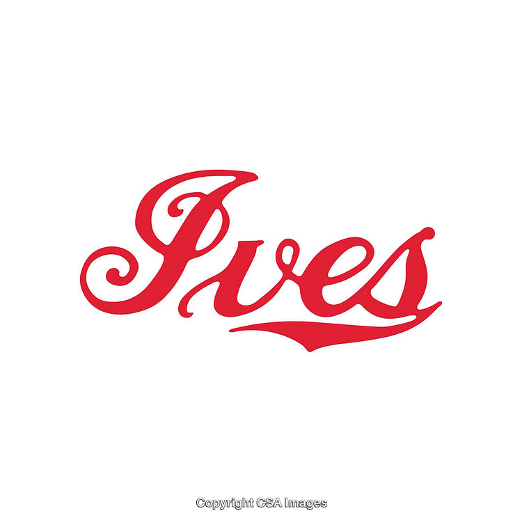 Stylized Red Script Font Logo on a White Background