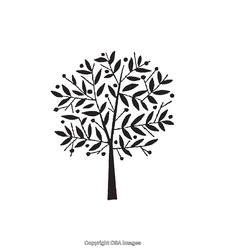 Black and White Line Art of Tree with Branches and Leaves
