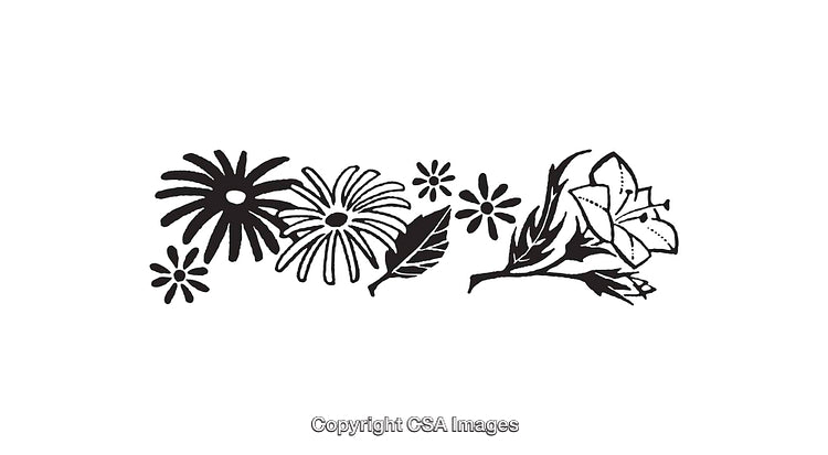 Black and White Line Art of Flowers and Leaves Illustration
