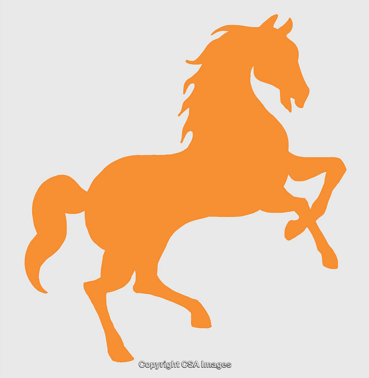 Orange Silhouette of a Majestic Prancing Horse Line Art Illustration