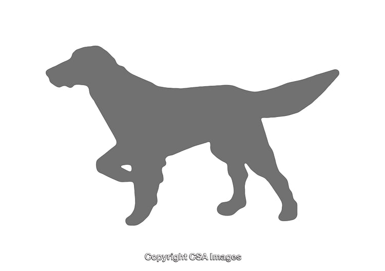 Silhouette of a Pointing Dog Icon in Gray Color