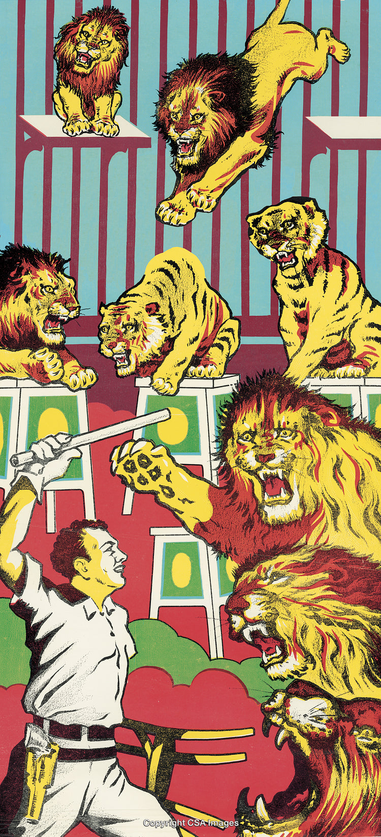 Illustrated Scene of a Lion Tamer with Fierce Lions in Action