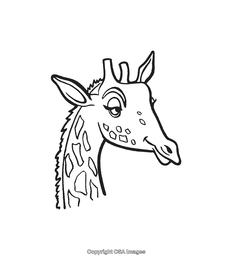 Black and White Line Drawing of a Giraffe Head in Profile View