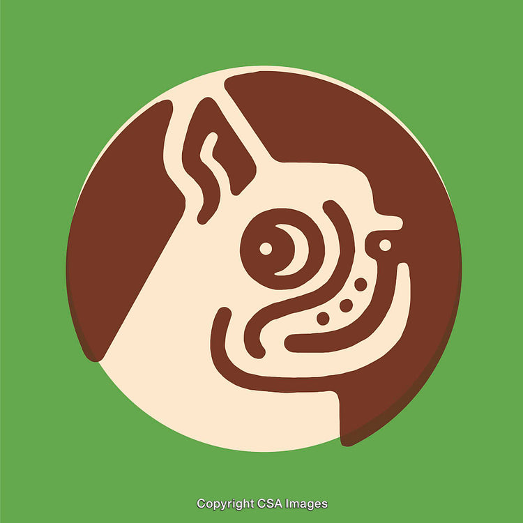 Minimalist Line Art Illustration of Dog Head in Green and Brown Colors