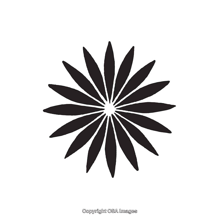 Minimalist Black Flower Silhouette with Radial Symmetry on White Background