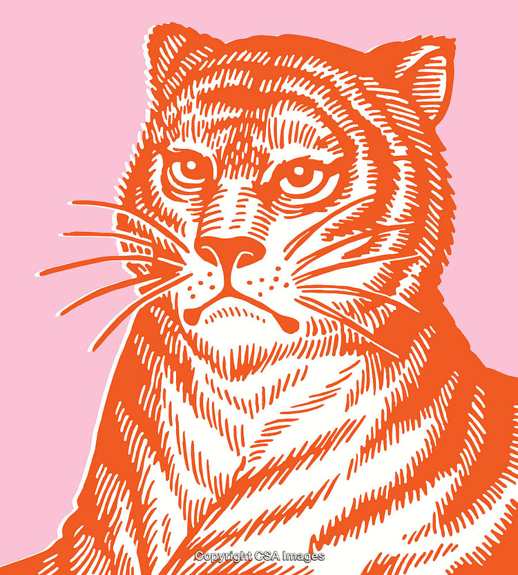 Bright Orange Tiger Ink Drawing on Pink Background in Vintage Style