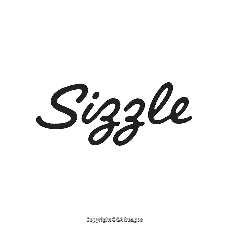 Stylish Handwritten 'Sizzle' Text Logo in Black on White Background
