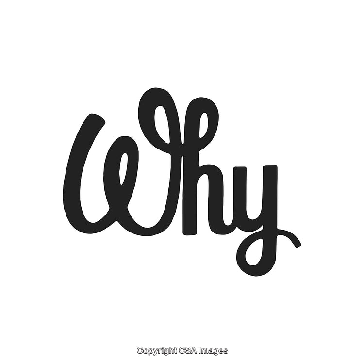Typography Artwork Featuring the Word 'Why' in a Stylish Script Style