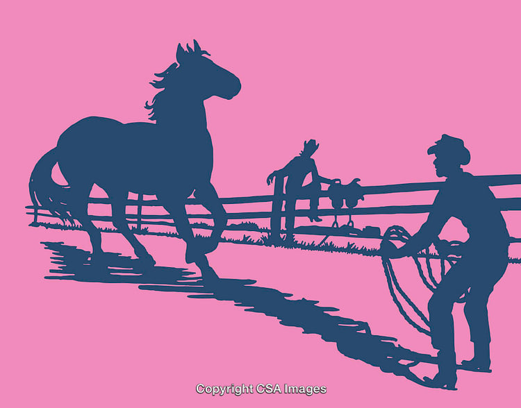Silhouette of Cowboy Lassoing Horse in Pasture Against Pink Background