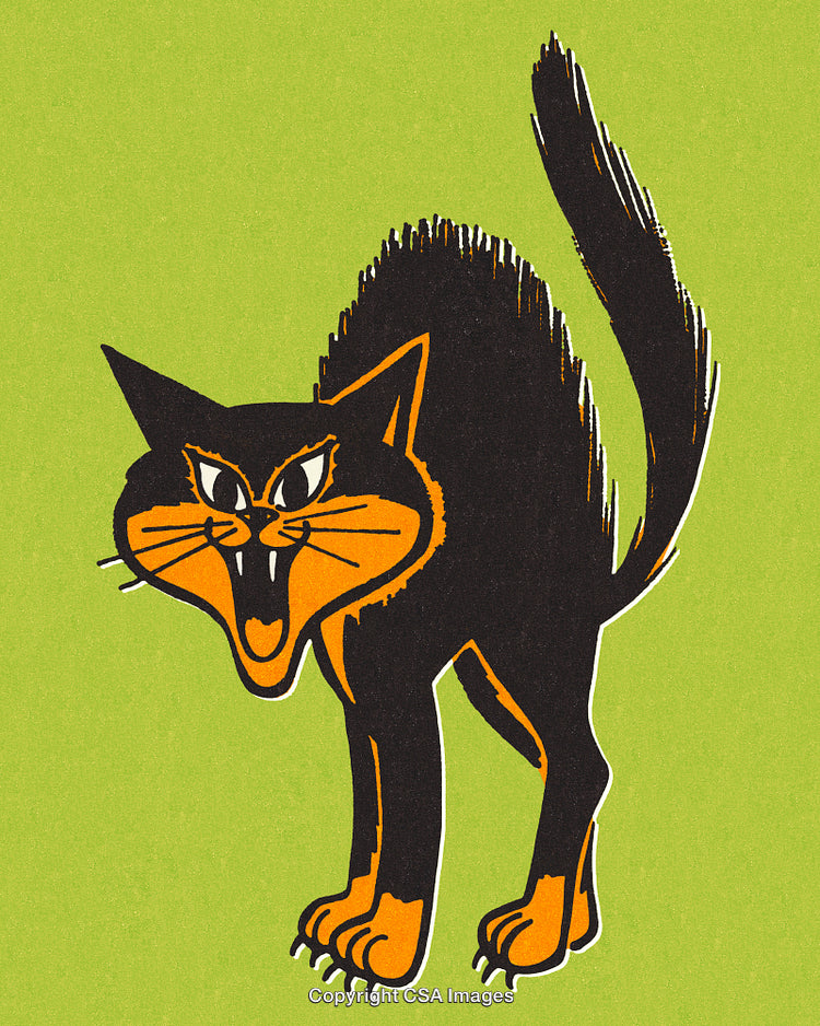 Vintage Illustration of a Stylized Black Cat on a Bright Green Background