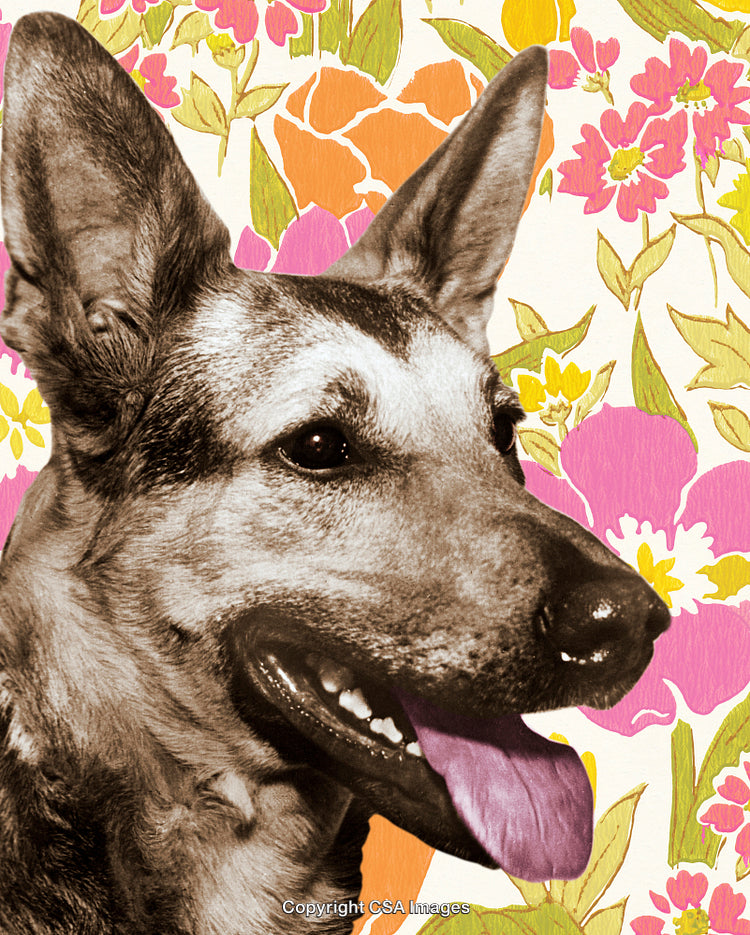 Vintage Dog Portrait with Floral Background in Retro Style