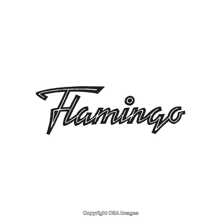Stylized Black Flamingo Text Logo with Creative Handwritten Typography