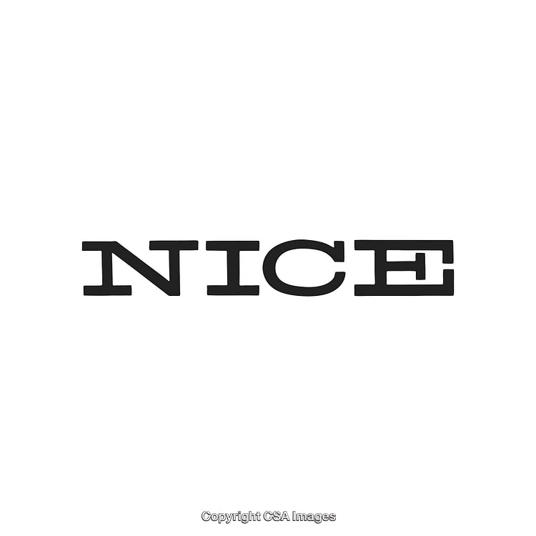 Simple Typography Featuring The Word Nice in Bold Black Font