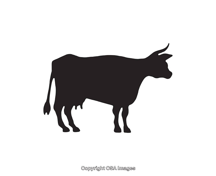 Black Silhouette of a Cow Standing with Defined Outline