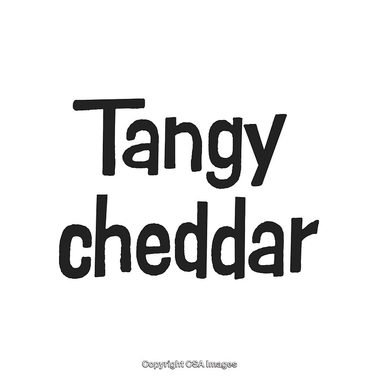 Stylized Text 'Tangy Cheddar' in Bold Black Font on White Background
