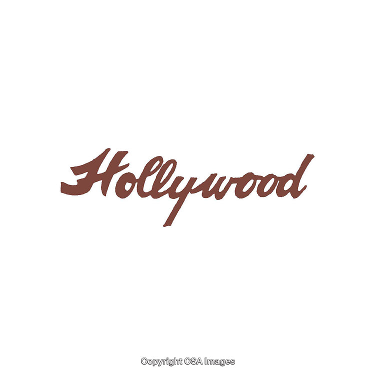 Stylized Hollywood Text in Elegant Serif Font on White Background