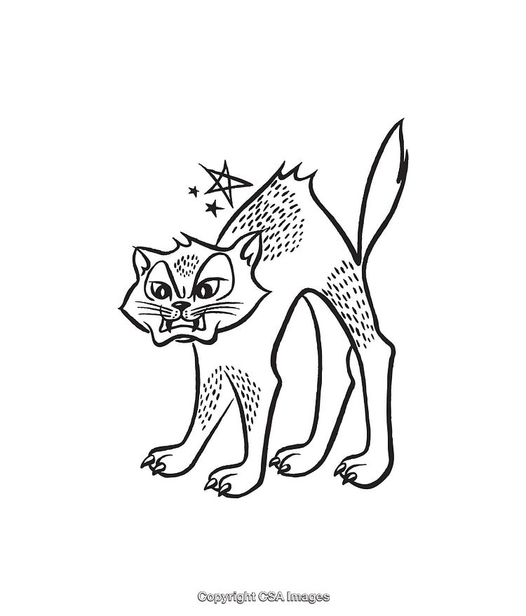 Angry Black And White Cat Line Art Illustration With Raised Fur