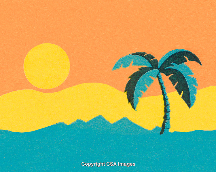 Tropical Sunset with Palm Tree Overlooking Ocean and Distant Hills