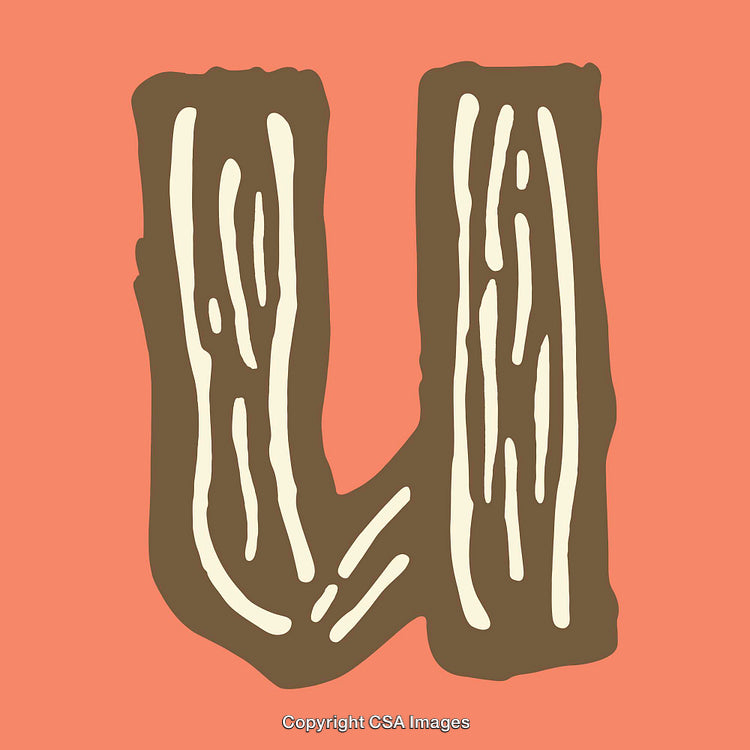 Woodgrain Style Letter U Illustration on Coral Background