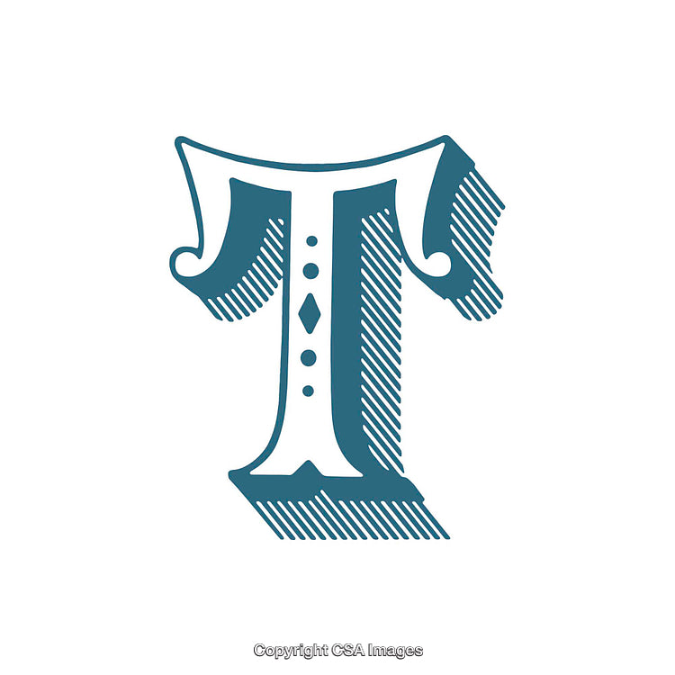 Elegant Decorative Letter T with Intricate Pattern Design Elements