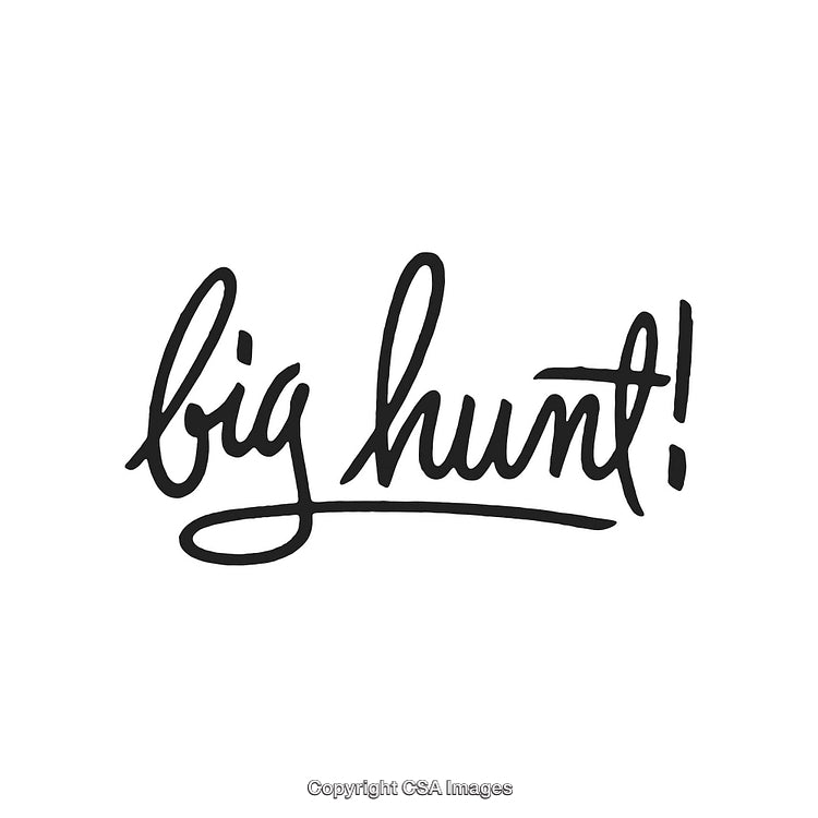 Handwritten Calligraphy Illustration with the Phrase 'Big Hunt' on White