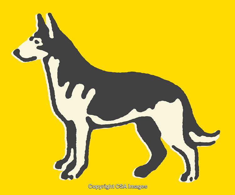 Color Line Art of a Standing Dog on Yellow Background