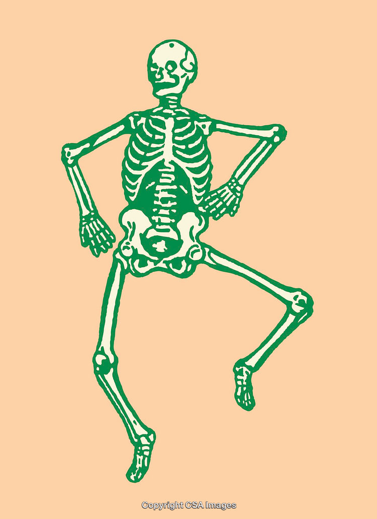 Playful Skeleton Illustration on Warm Background in Vibrant Colors