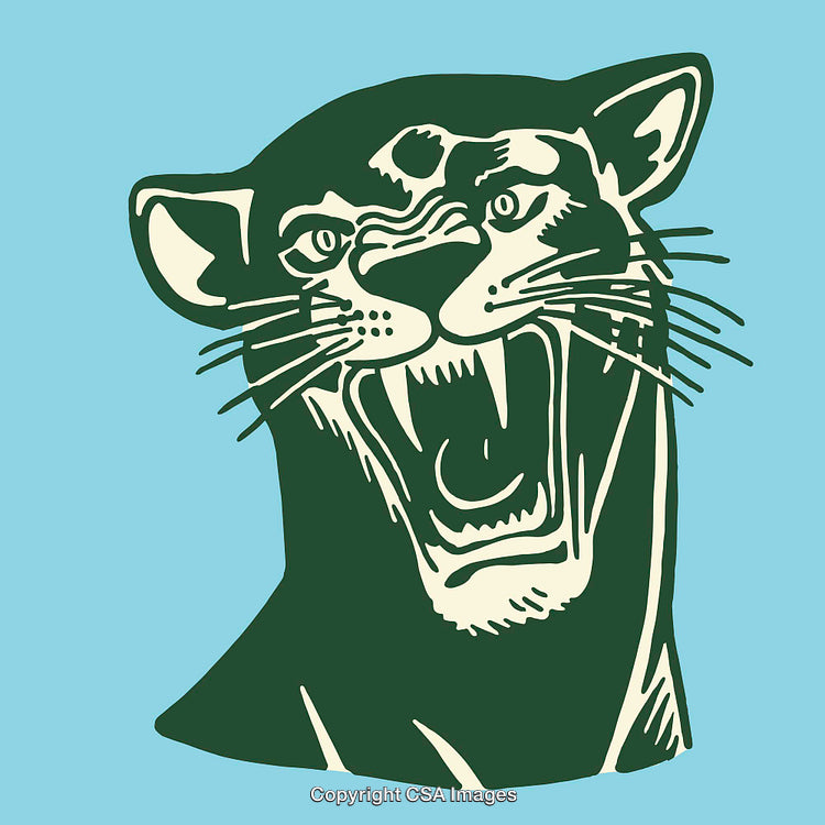 Fierce Panther Illustration in Bold Stylized Line Art Form