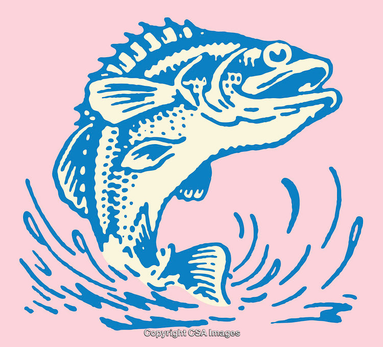 Blue Fish Illustration Jumping on a Pink Background