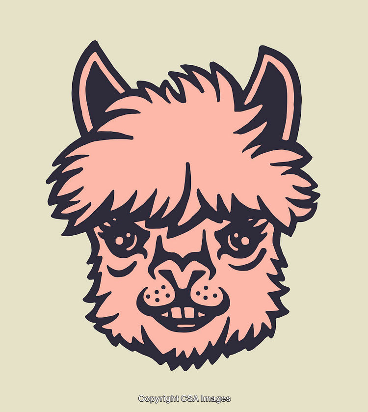Colorful Line Art Illustration of a Cute Llama Head