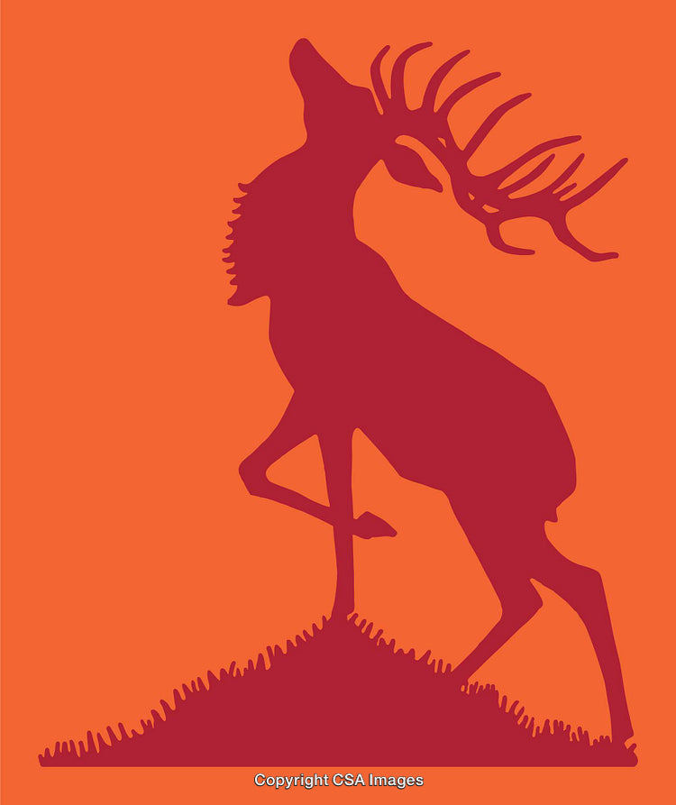 Silhouette of a Majestic Stag on an Orange Background