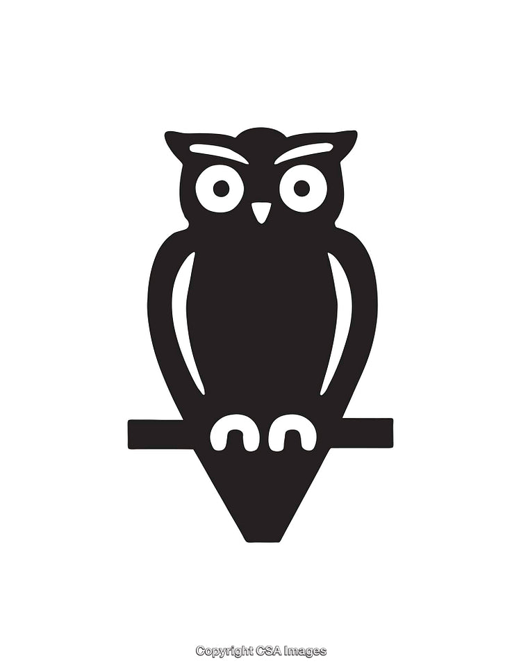 Black And White Owl Illustration With Geometric Minimalistic Design