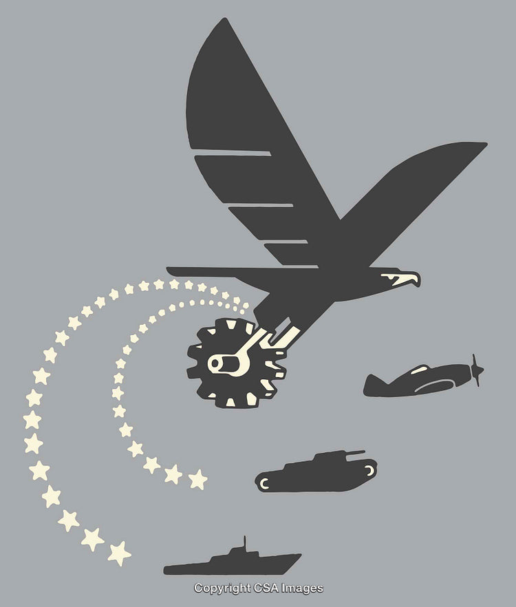 Stylized Eagle and Military Themes in Modern Graphic Design