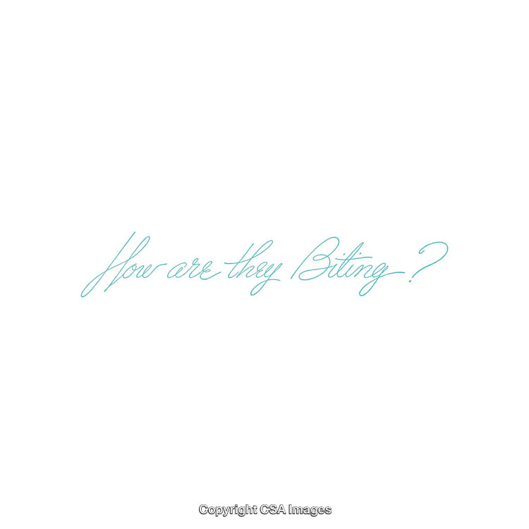 Minimalistic Pastel Script Text on White Background