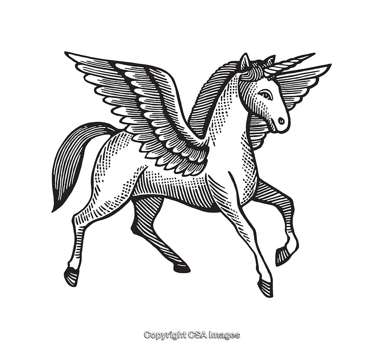 Black and White Line Art Illustration of a Winged Unicorn Mythical Creature