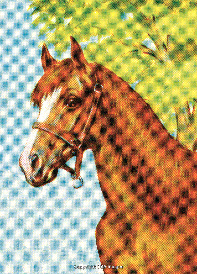 Chestnut Horse Wearing Bridle Against Lush Green Tree Background