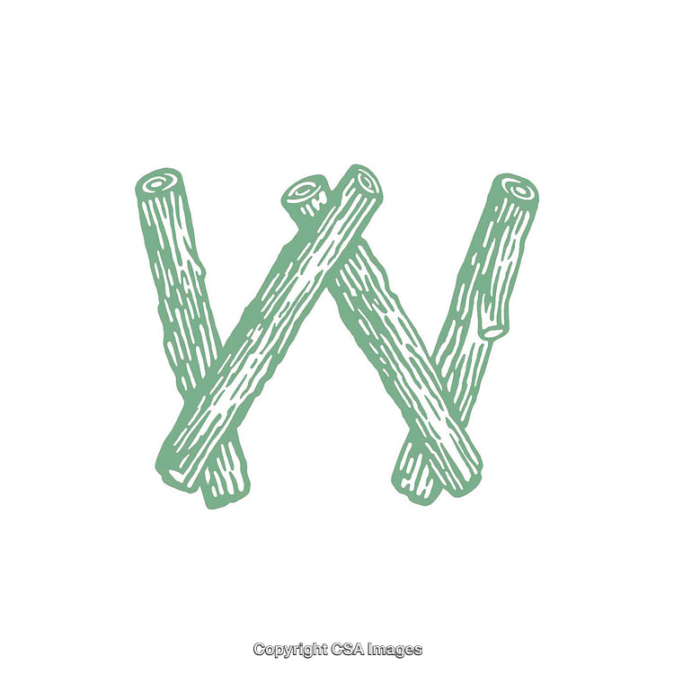 Stylized Letter W Formed Using Log Illustrations in Pastel Tone